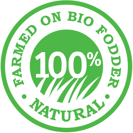 DarGusto Даргусто качество стейков