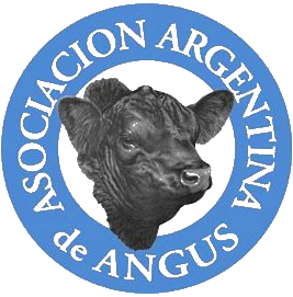 DarGusto Даргусто качество стейков